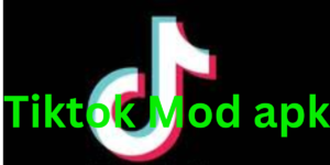 Tiktok Mod Apk